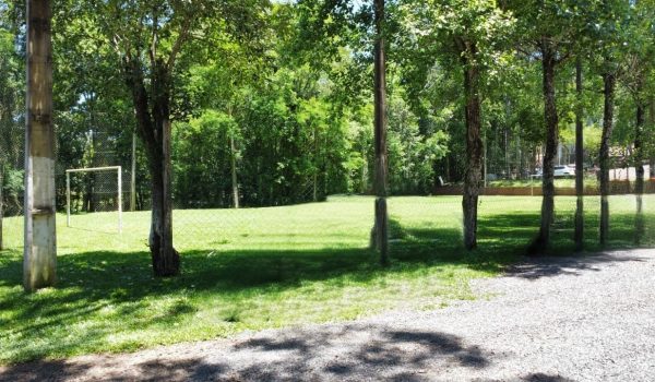 Campo